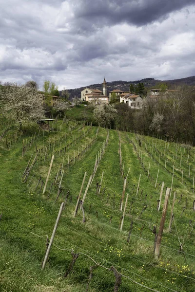 Paisagem Rural Brianza Parque Curone Montevecchia Província Lecco Lombardia Itália — Fotografia de Stock