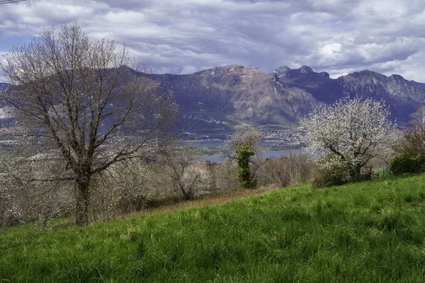 Vista Lago Annone Colle Brianza Província Lecco Lombardia Itália Primavera — Fotografia de Stock