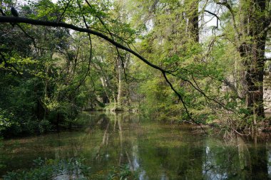 Giardini Montanelli olarak bilinen park Milano, Lombardy, İtalya 'da, baharda