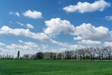 Baharda Martesana Kanalı, Milan, Lombardy, İtalya 'daki kır manzarası