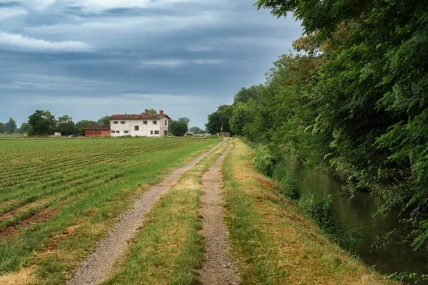 Haziran Talya Nın Lombardiya Eyaletinin Prado Kenti Yakınlarındaki Kırsal Alan — Stok fotoğraf