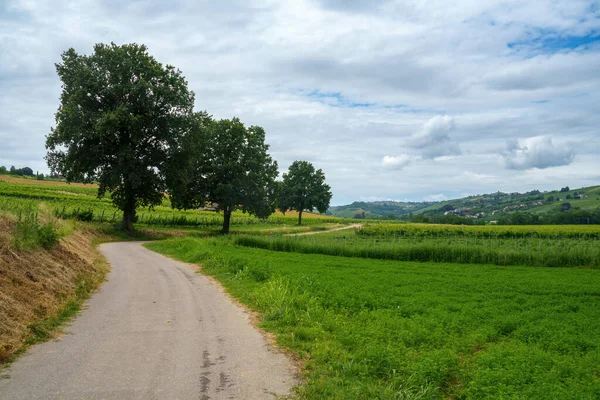 Wzgórza Oltrepo Pavese Prowincja Pavia Lombardia Włochy Wiosną — Zdjęcie stockowe