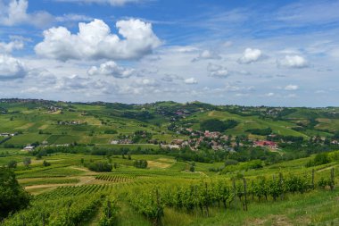 Oltrepo Pavese tepeleri, Pavia ili, Lombardy, İtalya, baharda. Üzüm bağları