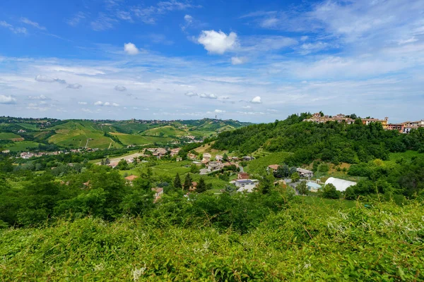 Oltrepo Pavese tepeleri, Pavia ili, Lombardy, İtalya, baharda. Üzüm bağları