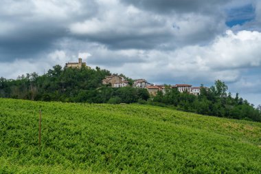 Oltrepo Pavese tepeleri, Pavia ili, Lombardy, İtalya, baharda. Üzüm bağları