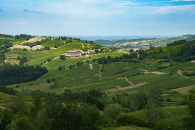 Oltrepo Pavese tepeleri, Pavia ili, Lombardy, İtalya, baharda. Üzüm bağları