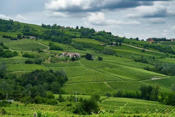 Wzgórza Oltrepo Pavese Prowincja Pavia Lombardia Włochy Wiosną Winnice — Zdjęcie stockowe