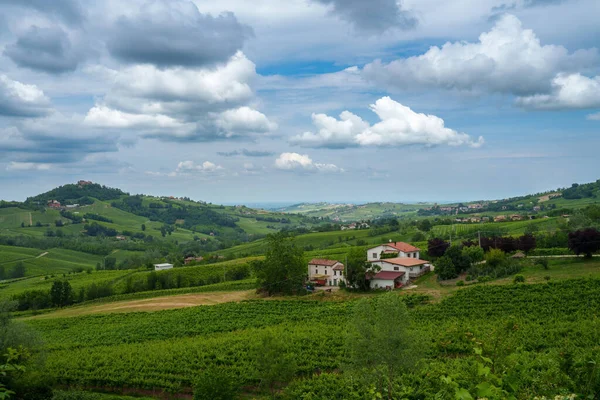 Oltrepo Pavese tepeleri, Pavia ili, Lombardy, İtalya, baharda. Üzüm bağları