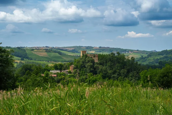 Oltrepo Pavese tepeleri, Pavia ili, Lombardy, İtalya, baharda. Üzüm bağları