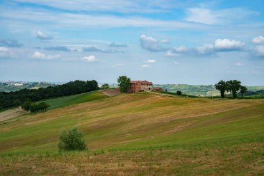 Oltrepo Pavese tepeleri, Pavia ili, Lombardy, İtalya, baharda. Üzüm bağları