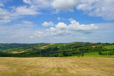 Oltrepo Pavese tepeleri, Pavia ili, Lombardy, İtalya, baharda. Üzüm bağları