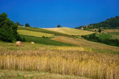 Haziran ayında İtalya 'nın Piedmont kentindeki Alessandria eyaletindeki Tortona tepelerinde kırsal alan