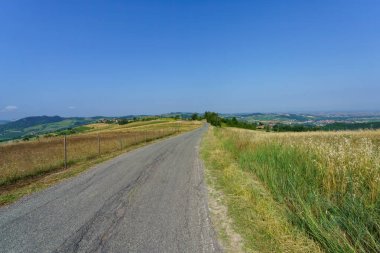 Haziran ayında İtalya 'nın Piedmont kentindeki Alessandria eyaletindeki Tortona tepelerinde kırsal alan