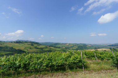Haziran ayında İtalya 'nın Piedmont kentindeki Alessandria eyaletindeki Tortona tepelerinde kırsal alan