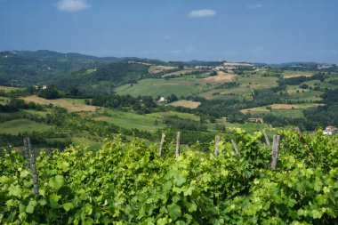 Haziran ayında İtalya 'nın Piedmont kentindeki Alessandria eyaletindeki Tortona tepelerinde kırsal alan