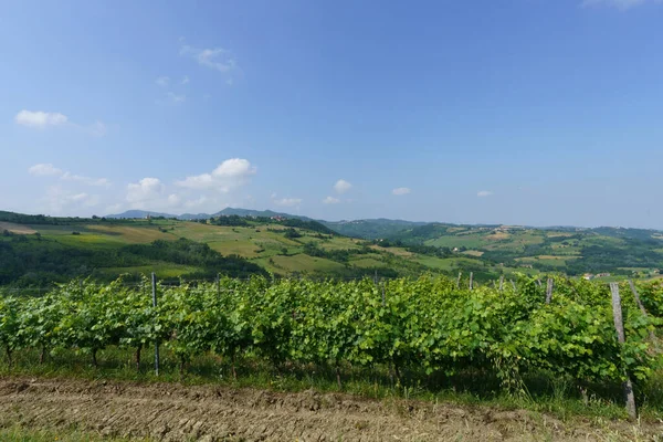 Paisagem Rural Nas Colinas Tortona Província Alessandria Piemonte Itália Junho — Fotografia de Stock