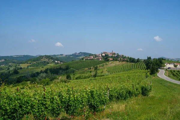 Rural Landscape Tortona Hills Alessandria Province Piedmont Italy June — Stock Photo, Image