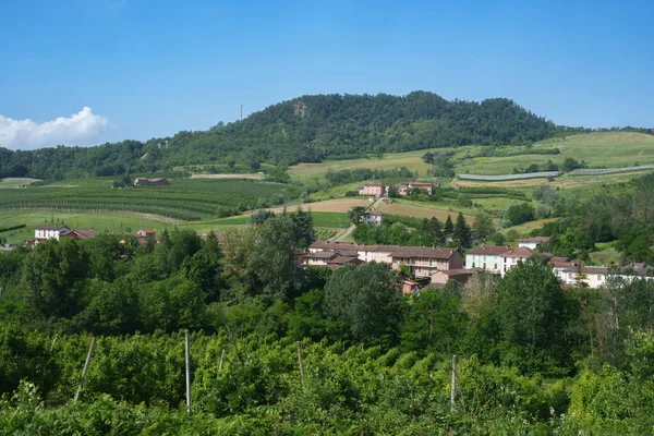 Landsbygdslandskap Tortona Kullar Alessandriaprovinsen Piemonte Italien Juni Stockfoto