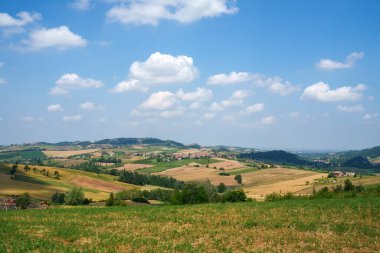 Haziran ayında İtalya 'nın Piedmont kentindeki Alessandria eyaletindeki Tortona tepelerinde kırsal alan