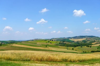 Haziran ayında İtalya 'nın Piedmont kentindeki Alessandria eyaletindeki Tortona tepelerinde kırsal alan