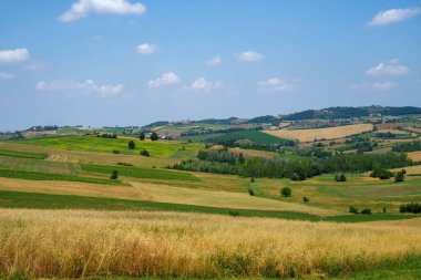 Haziran ayında İtalya 'nın Piedmont kentindeki Alessandria eyaletindeki Tortona tepelerinde kırsal alan