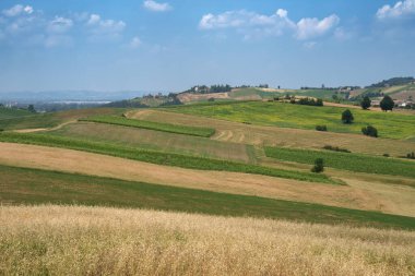 Haziran ayında İtalya 'nın Piedmont kentindeki Alessandria eyaletindeki Tortona tepelerinde kırsal alan