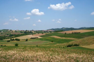 Haziran ayında İtalya 'nın Piedmont kentindeki Alessandria eyaletindeki Tortona tepelerinde kırsal alan