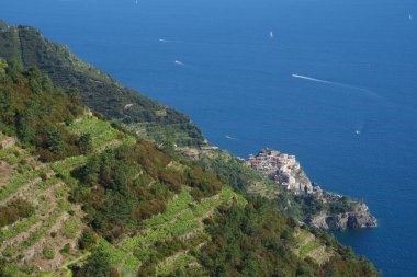 Cinqueterre Sahili (veya Cinque Terre), La Spezia ili, Liguria, İtalya, Unesco Dünya Mirası Bölgesi, Haziran ayında