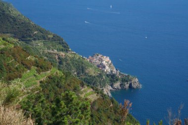 Cinqueterre Sahili (veya Cinque Terre), La Spezia ili, Liguria, İtalya, Unesco Dünya Mirası Bölgesi, Haziran ayında