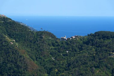 Cinqueterre Sahili (veya Cinque Terre), La Spezia ili, Liguria, İtalya, Unesco Dünya Mirası Bölgesi, Haziran ayında