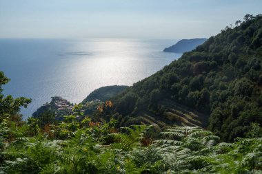 Cinqueterre Sahili (veya Cinque Terre), La Spezia ili, Liguria, İtalya, Unesco Dünya Mirası Bölgesi, Haziran ayında
