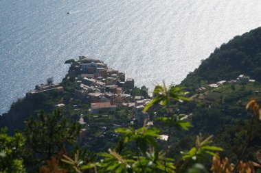 Cinqueterre Sahili (veya Cinque Terre), La Spezia ili, Liguria, İtalya, Unesco Dünya Mirası Bölgesi, Haziran ayında