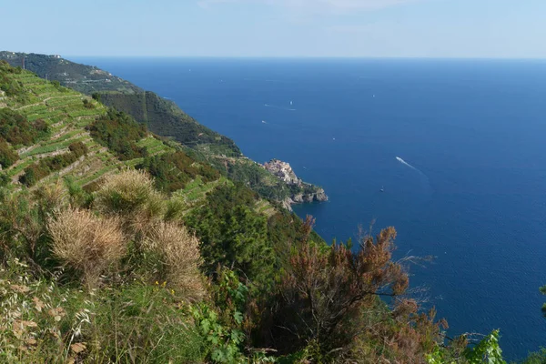 Cinqueterre Sahili Veya Cinque Terre Spezia Ili Liguria Talya Unesco — Stok fotoğraf