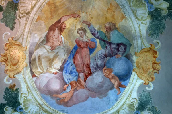 Wnętrze Oratorio Dei Bianchi Zabytkowy Kościół Fosdinovo Prowincja Massa Carrara — Zdjęcie stockowe