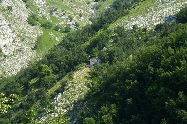 Paysage Long Route Arni Garfagnana Alpi Apuane Dans Province Lucques — Photo