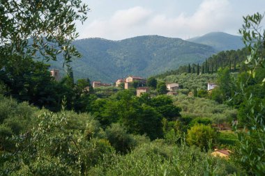 Pieve di Compito, Lucca, Tuscany, İtalya yakınlarındaki kırsal köy, yazın.