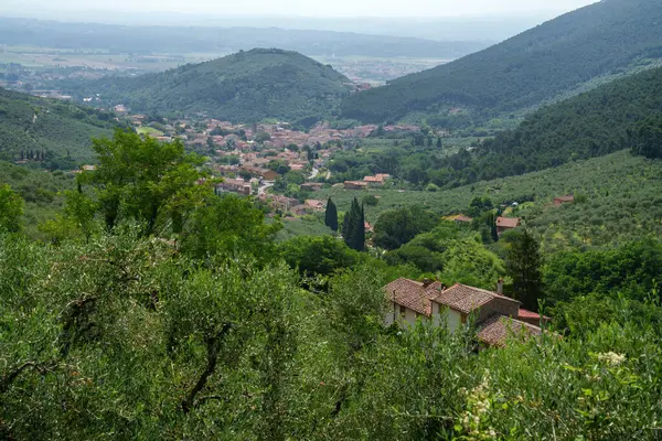 Mountain Landscape Road Monte Serra Pisa Province Tuscany Italy Summer — Stock Photo, Image