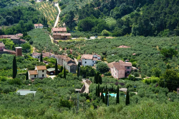 夏季意大利托斯卡纳比萨省Monte Serra公路上的山区景观 — 图库照片
