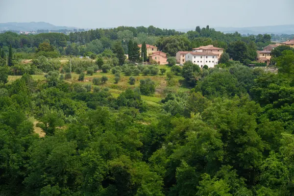 Lari 'nin tarihi binaları, Pisa ili, Tuscany, İtalya, yaz aylarında