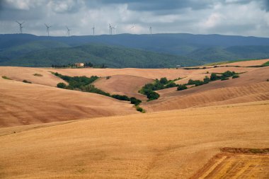 Yazın İtalya 'nın Toskana eyaletinde Orciano Pisano tepelerinde kırsal alan
