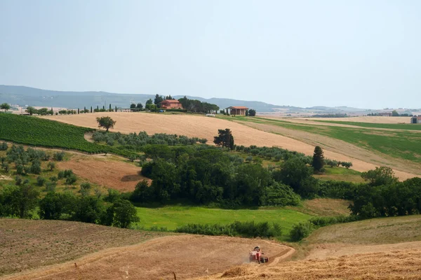 夏のオルチアーノピサノ ピサ県 トスカーナ イタリアの丘の上の農村風景 ロイヤリティフリーのストック写真