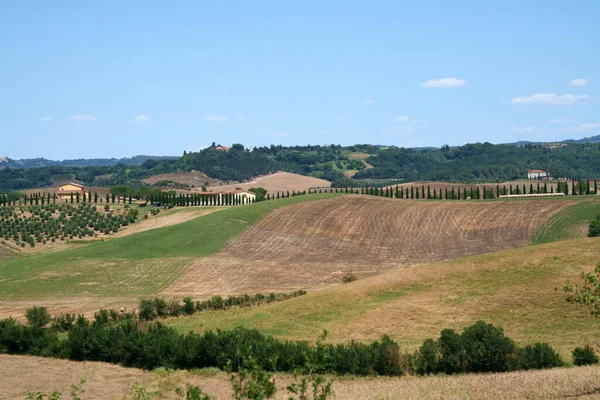 Αγροτικό Τοπίο Κοντά Στο Volterra Στην Επαρχία Πίζας Τοσκάνη Ιταλία — Φωτογραφία Αρχείου