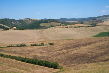 Volterra yakınlarındaki kırsal alan, Pisa ili, Tuscany, İtalya, yaz aylarında.