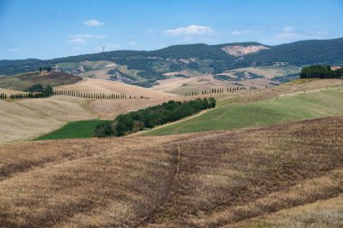 Volterra yakınlarındaki kırsal alan, Pisa ili, Tuscany, İtalya, yaz aylarında.