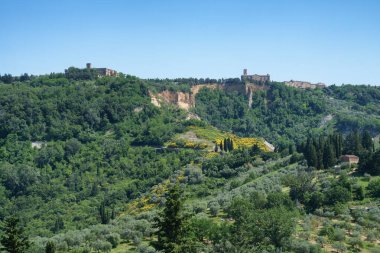 Volterra yakınlarındaki kırsal alan, Pisa ili, Tuscany, İtalya, yaz aylarında.