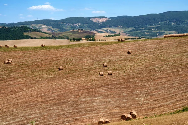 Krajina Poblíž Volterra Provincii Pisa Toskánsko Itálie Létě — Stock fotografie