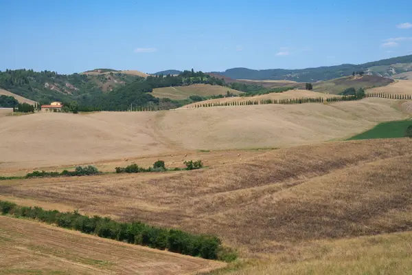 Vidéki Táj Közelében Volterra Pisa Tartomány Toszkána Olaszország Nyáron — Stock Fotó