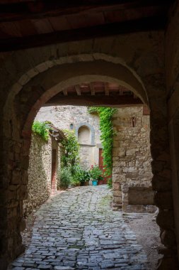 Montefioralle, ortaçağ köyü, Chianti, Firenze ili, Toskana, İtalya