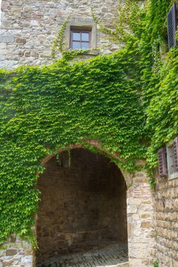 Montefioralle, ortaçağ köyü, Chianti, Firenze ili, Toskana, İtalya