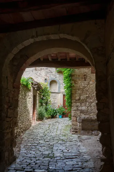 Montefioralle Mittelalterliches Dorf Chianti Provinz Florenz Toskana Italien — Stockfoto